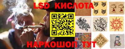 молекула духа Новозыбков