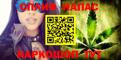a pvp Новокубанск