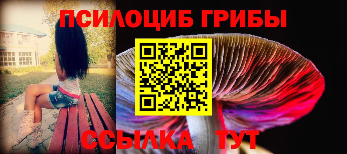 Псилоцибиновые грибы Magic Shrooms Тольятти