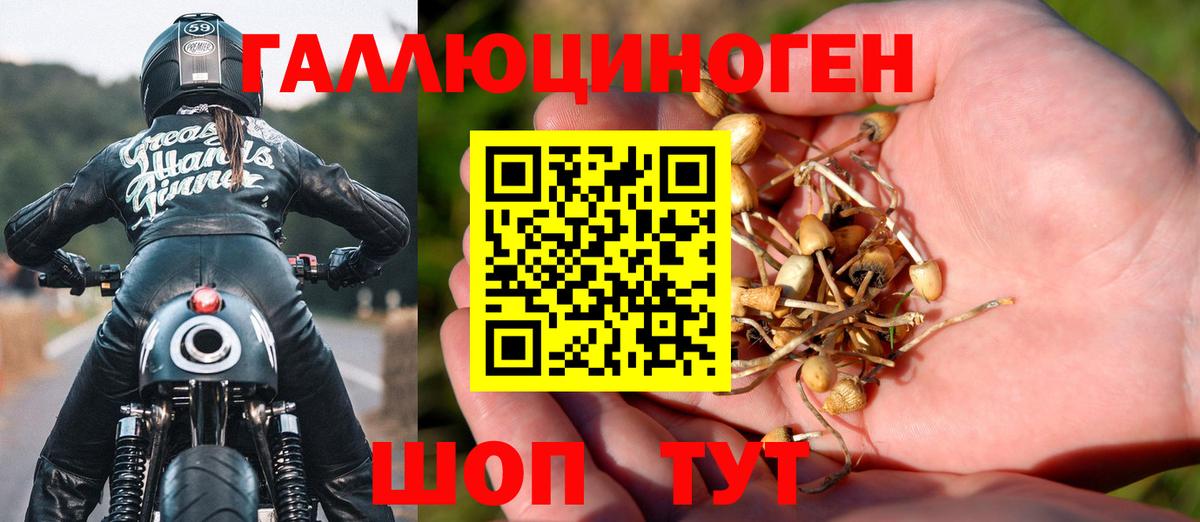 Тольятти  Псилоцибиновые грибы мухоморы  Вход с VPN 