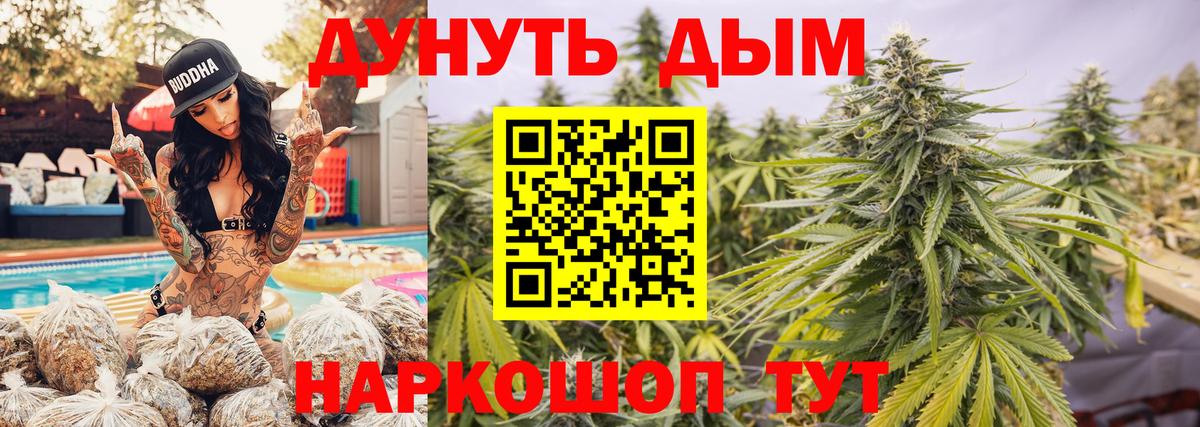 Бошки Шишки планчик Тольятти